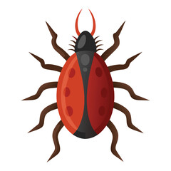 Illustration of  castor bean tick  Isolated