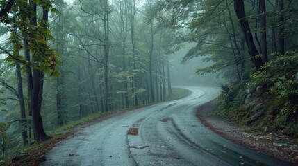 A wet road in the middle of a forest with lush green trees and misty surroundings