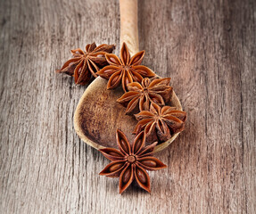 Anise  isolated on white background. Spice closeup.