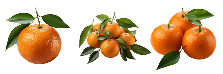 tangerines isolated on transparent background