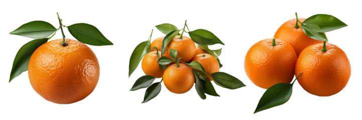 tangerines isolated on transparent background