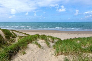 The sand dunes system at Morfa Harlech National Nature Reserve, Harlech beach, Eryri, also known as Snowdonia, North Wales.