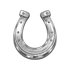 vintage horseshoe engraving hand drawn illustration vector