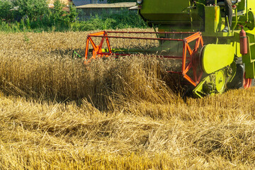 Mowing wheat crop with a farmer combine harvester on a plantation in a rural area