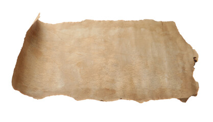 Sheet of old parchment paper isolated on white