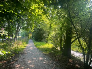 View of pathway through park with green trees alongside