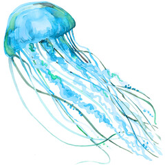 Glowing neon jellyfish with long tentacles watercolor illustration isolated on white © Елена Фаенкова