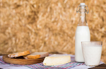 Milk bottle, slices of fresh wheat bread and brie on hay