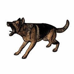 Fototapeta premium Realistic dog vector ilustration design 