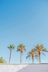 Fototapeta premium Tropical Island Paradise with Palm Trees, Blue Sky, and Sandy Beach