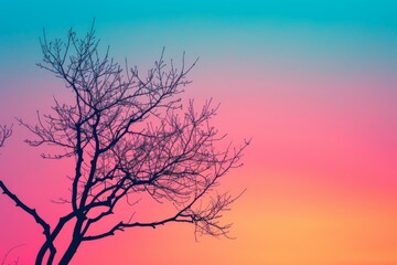 Bare Tree Against a Multicolored Sky