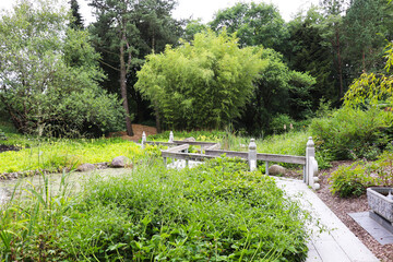 summer landscape. corner of the Japanese garden in the summer park