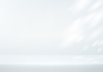 White and grey background Studio with light. White Background Empty Room Studio with table. Space for selling products on the website. Empty room with shadow leaves.