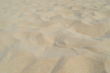 Photo of nature fine beach sand