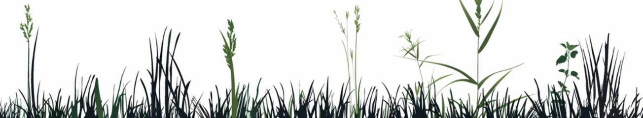 Fototapeta premium This is a set of grass blades drawn by hand. It is not stock. This is a modern illustration.