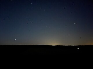 night sky with stars and trees