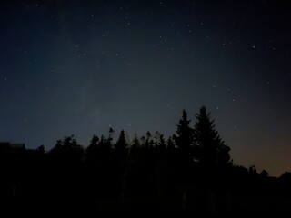 Naklejka premium night sky with stars and trees