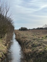 the river in the country