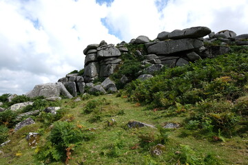 Helman Tor in mid Cornwall England UK Geology site ancient monument and large nature reserve