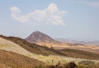 landscape in the desert