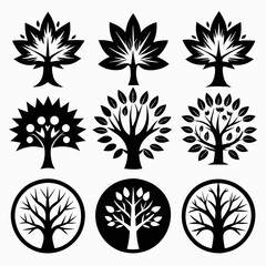 set of maple trees of life vector illustration