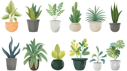 Calm scene with a row of potted plants in different sizes and colors, all displaying serene green shades