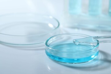 Dripping liquid from pipette into petri dish at white table, closeup