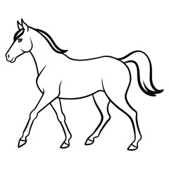 Horse Vectors And Illustrations For Free Download