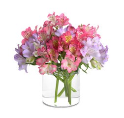 Fototapeta premium Beautiful alstroemeria flowers in glass vase isolated on white
