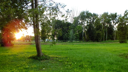 sunset in the park