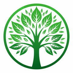 set of maple trees of life vector illustration 