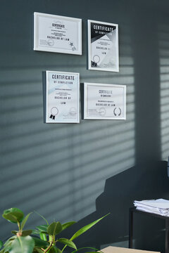Part of dark grey sunlit wall of lawyer office with group of certificates of bachelor of law hanging over stack of papers on desk and green plant