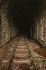Obraz premium Túnel da Mantiqueira, Estrada de ferro, Cruzeiro, São Paulo