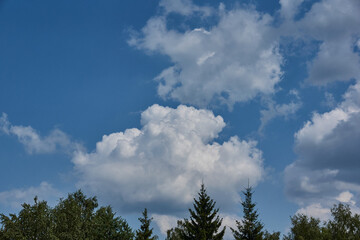 Landscape. Cloudy sky. Photo from a walk in the garden outside the city.