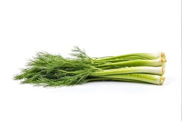 fennel isolated on white background
