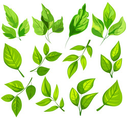 featuring eight different types of green leaves. Each leaf showcases unique shapes and vein patterns. graphic is simple, clean, and vibrant, ideal for nature-themed designs and eco-friendly projects