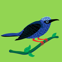 Illustration of a vibrant blue bird with black wing patterns, perched on a leafy branch against a green background. Hand-drawn vector illustration