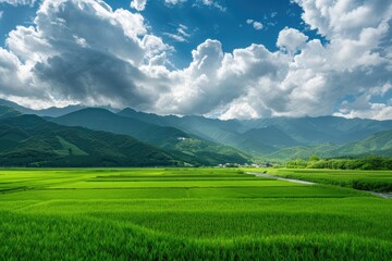 Japanese Countryside Landscape with Lush Green Rice Paddies