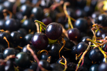 black currant on a wooden table, close-up, macro