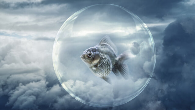 Fish inside a transparent bubble floating in the sky amongst the clouds