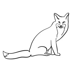 Fox coloring page, cute predatory animal for creativity or design