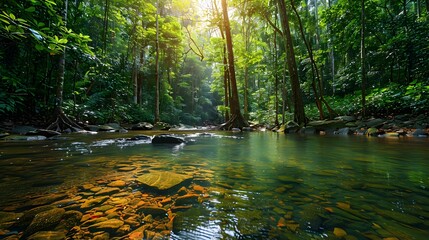 Lush Forest Stream Capturing the Beauty of Untouched Nature and Sustainability Importance
