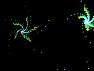 Imaginatory fractal abstract background Image