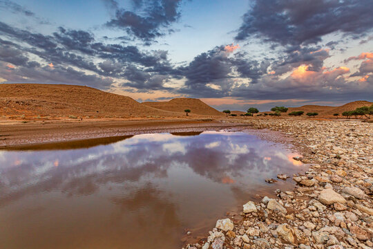 Desert landscape after rain, Saudi Arabia