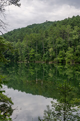 lake in summer with greenery