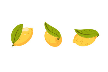 Set of abstract vector lemon. Simple lemon. Tropical fruit collection design for interior, poster, banner. 