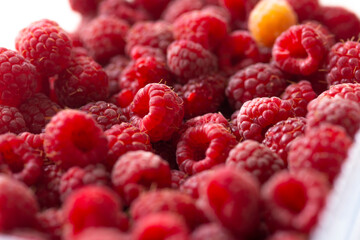 fresh raspberries close-up macro photography, shallow depth of field