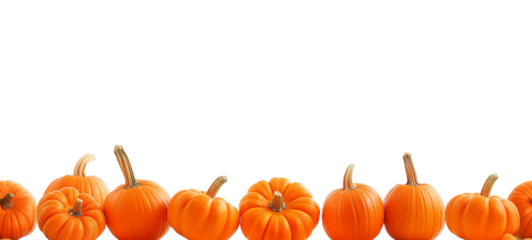 Seamless Horizontal pumpkins isolated on transparent background PNG - Vegetable boarder Background 