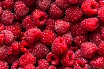 close-up lot of fresh raspberries in a container