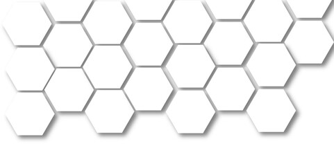 Technology hexagon honeycomb white background with shadow hexagon concept design abstract technology background, vector illustration.